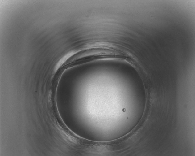 X0000077371066200610271914