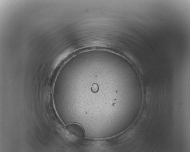 X0000077371067200610271914