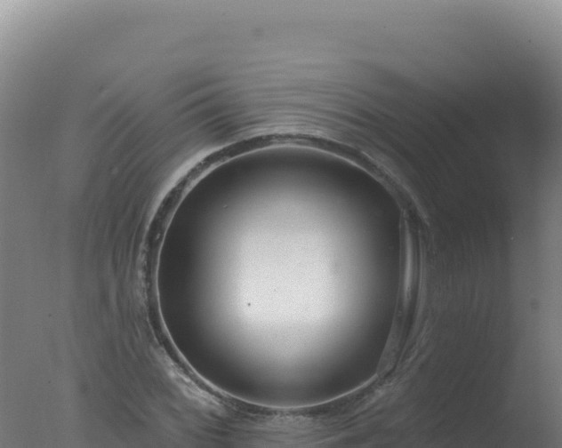 X0000077371068200610271914