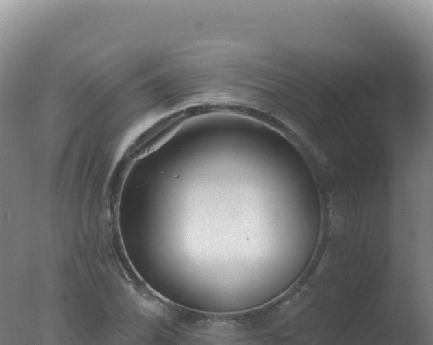 X0000077371070200610271914