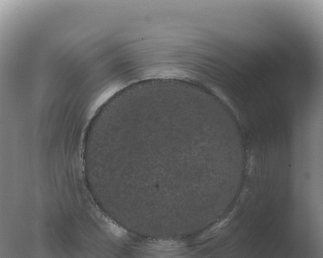 X0000077371071200610271914