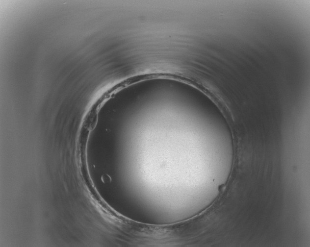 X0000077371072200610271914