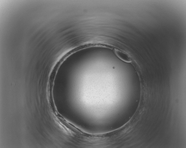 X0000077371076200610271914