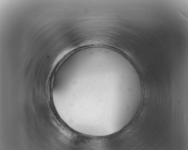 X0000077371078200610271914