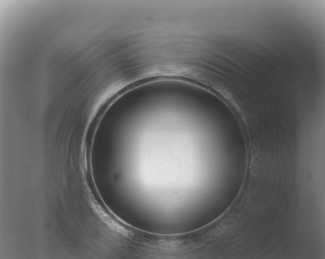 X0000077371080200610271914