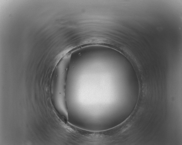 X0000077371081200610271914