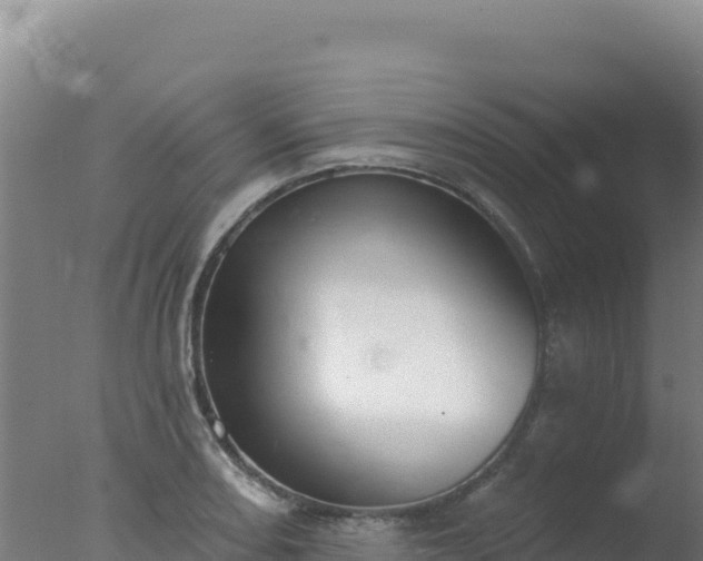 X0000077371082200610271914