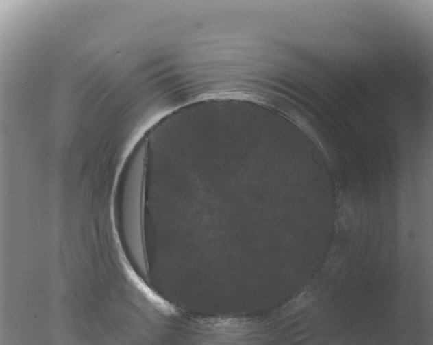 X0000077371084200610271914