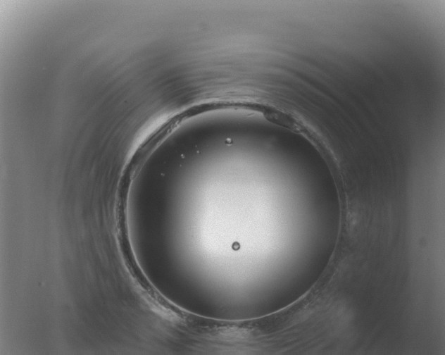 X0000077371085200610271914