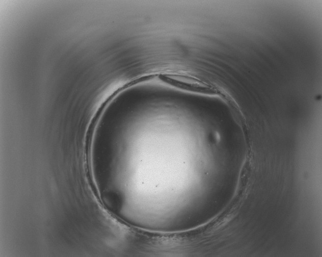 X0000077371087200610271914