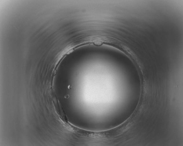 X0000077371089200610271914