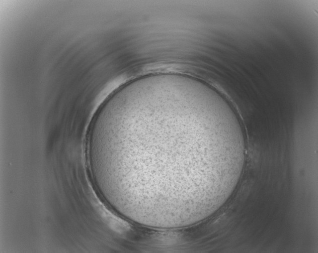 X0000077371090200610271914