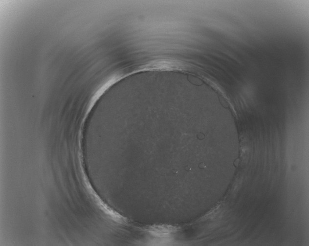 X0000077371091200610271914