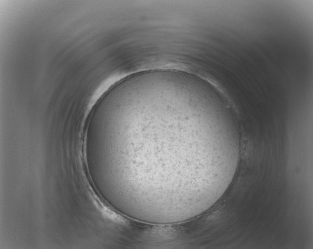 X0000077371094200610271914