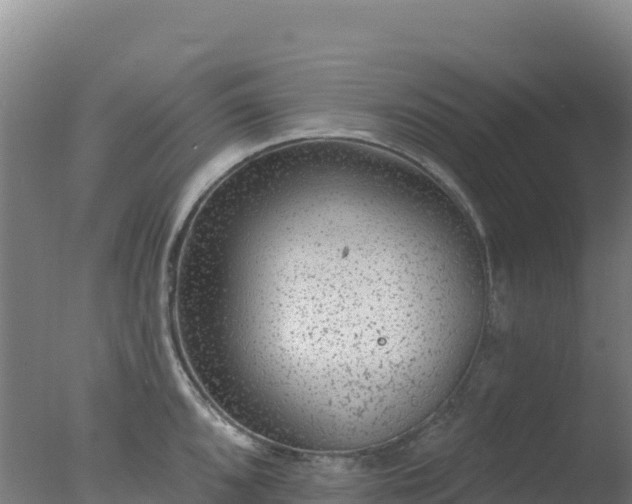 X0000077371096200610271913