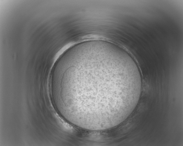 X0000077371098200610271913