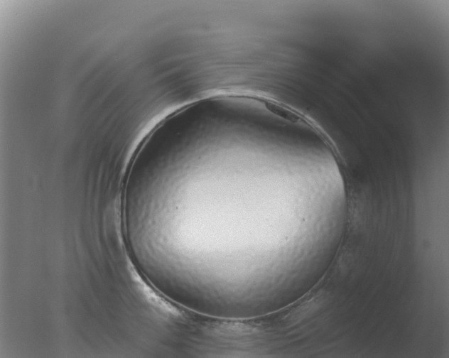 X0000077371100200610271913