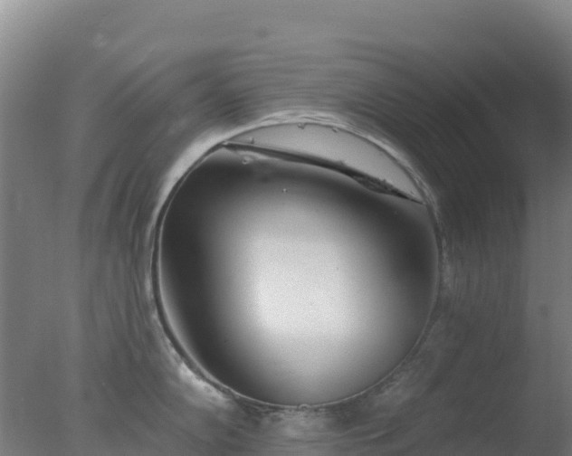 X0000077371102200610271913