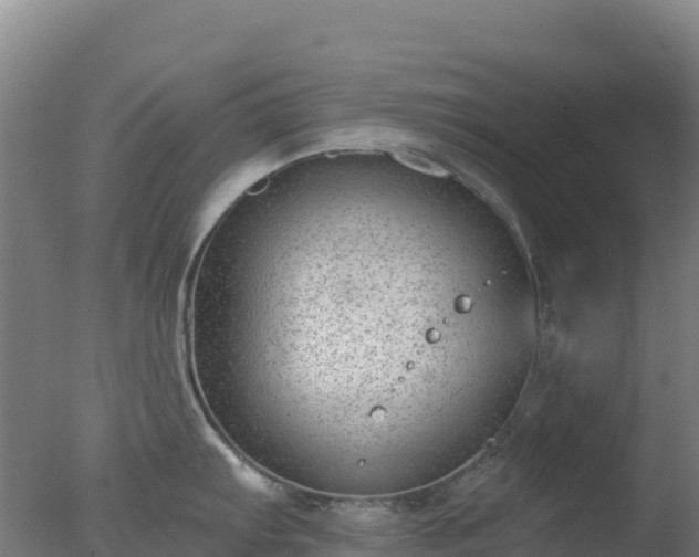 X0000077371103200610271913