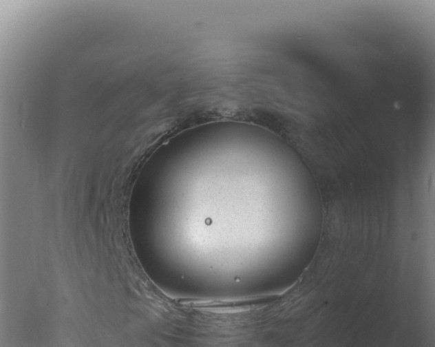 X0000077371105200610271913