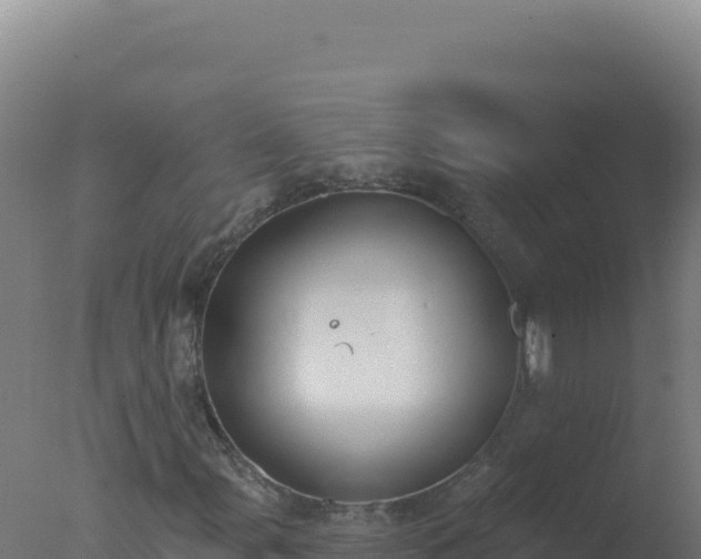 X0000077371107200610271913