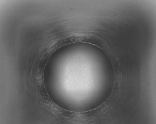 X0000077371109200610271913