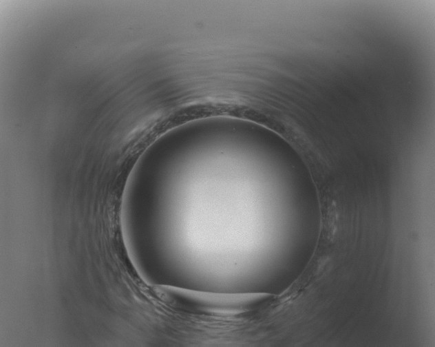 X0000077371110200610271913