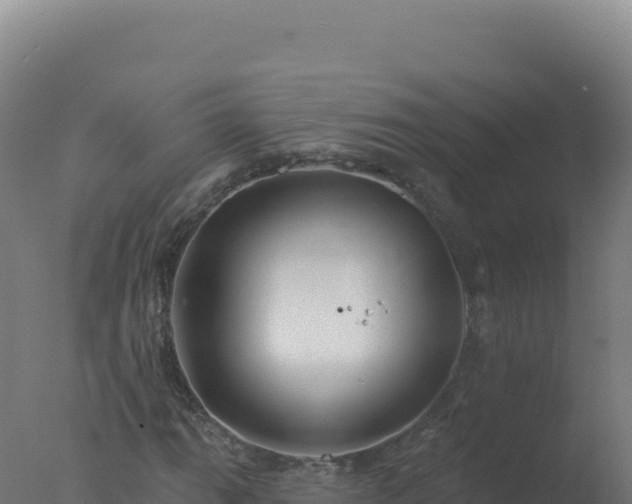 X0000077371111200610271913