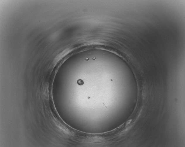 X0000077371113200610271913