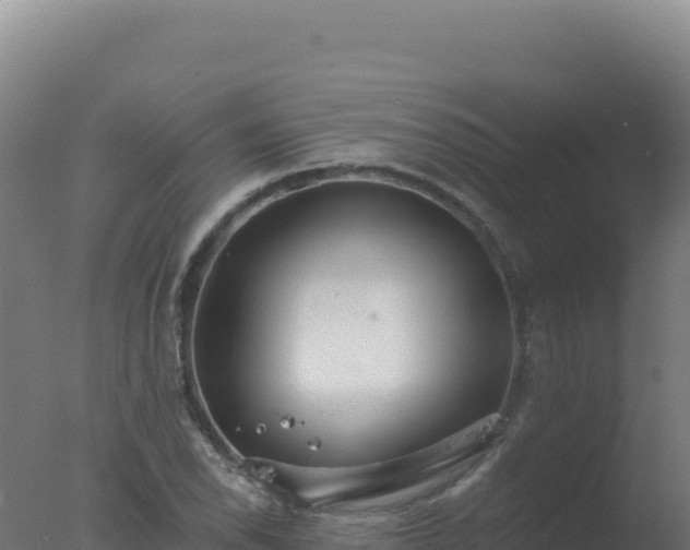 X0000077371118200610271913