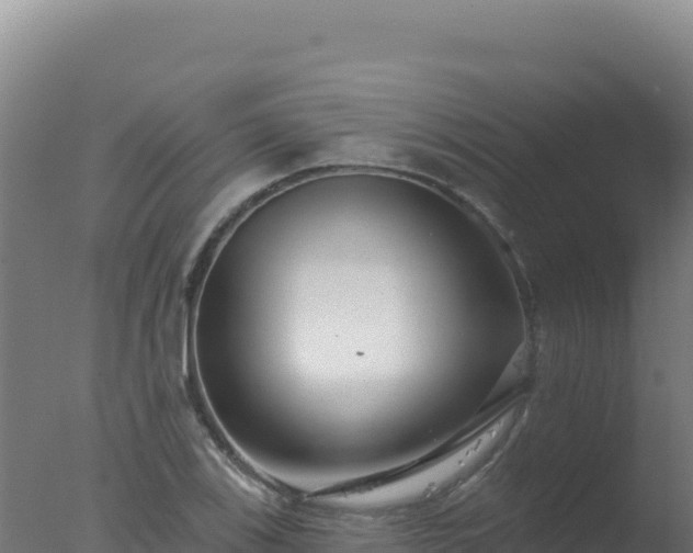 X0000077371123200610271913