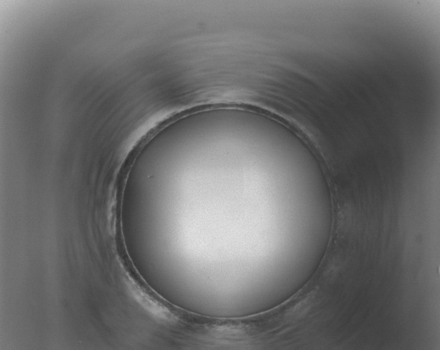 X0000077371126200610271913