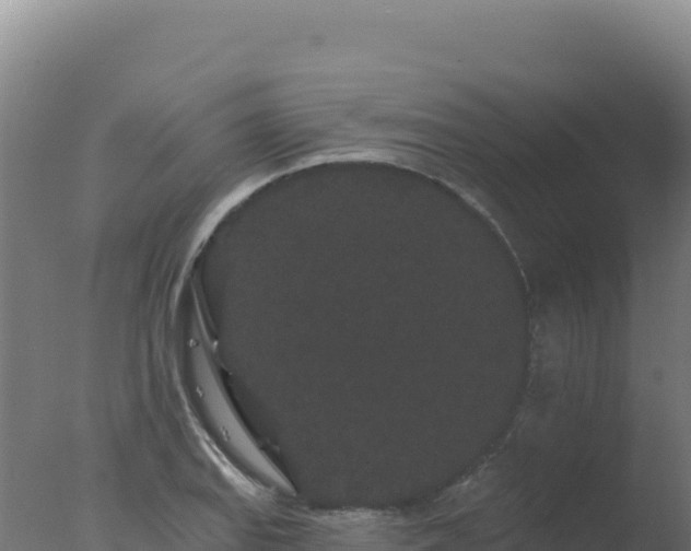 X0000077371127200610271913