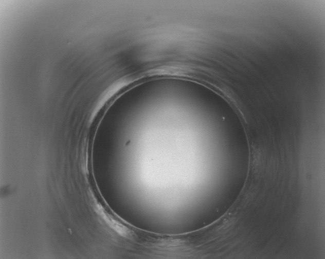 X0000077371131200610271913