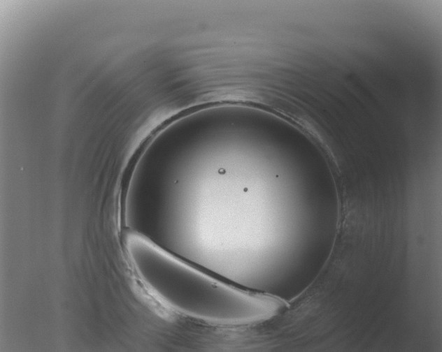 X0000077371132200610271913