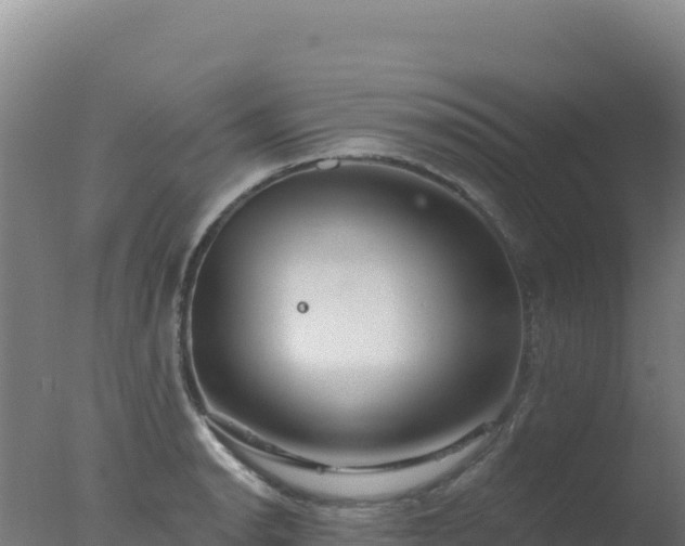 X0000077371134200610271913