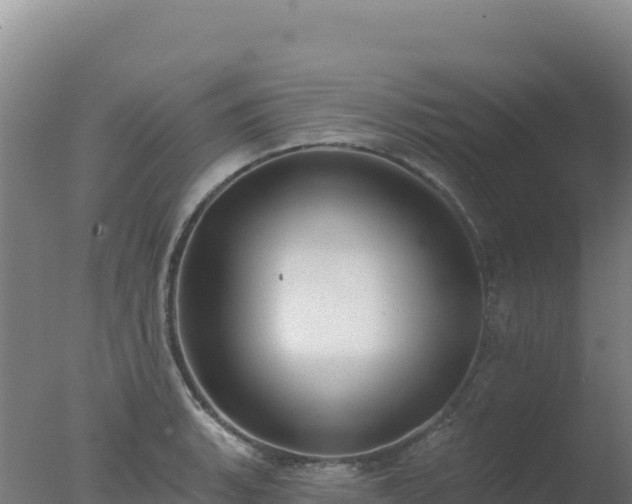 X0000077371135200610271913