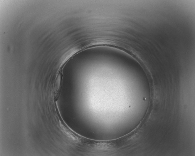 X0000077371137200610271913