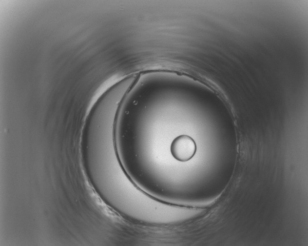 X0000077371138200610271913