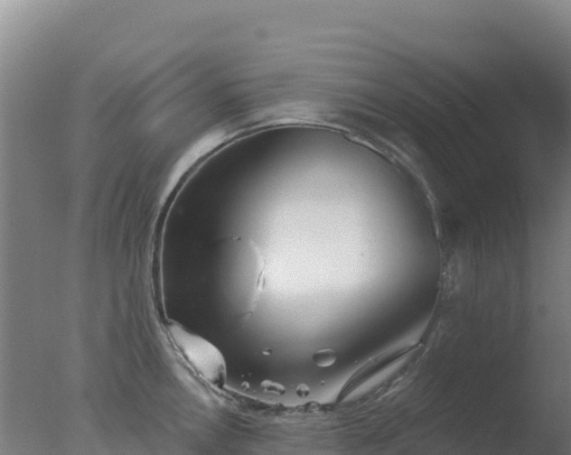 X0000077371146200610271913