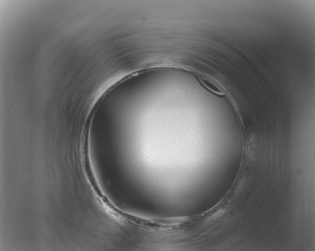 X0000077371149200610271913