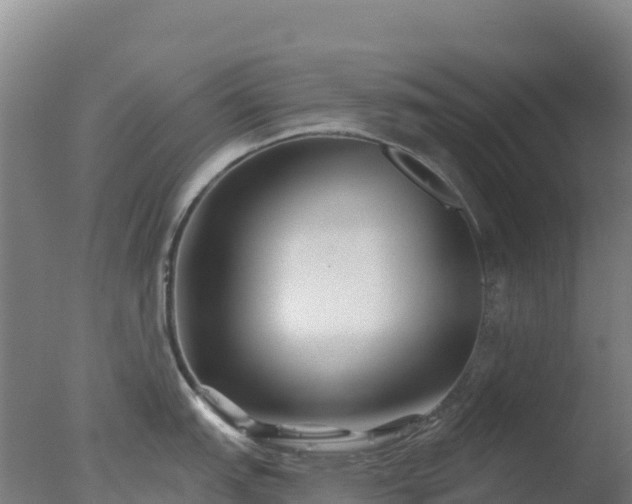 X0000077371151200610271913