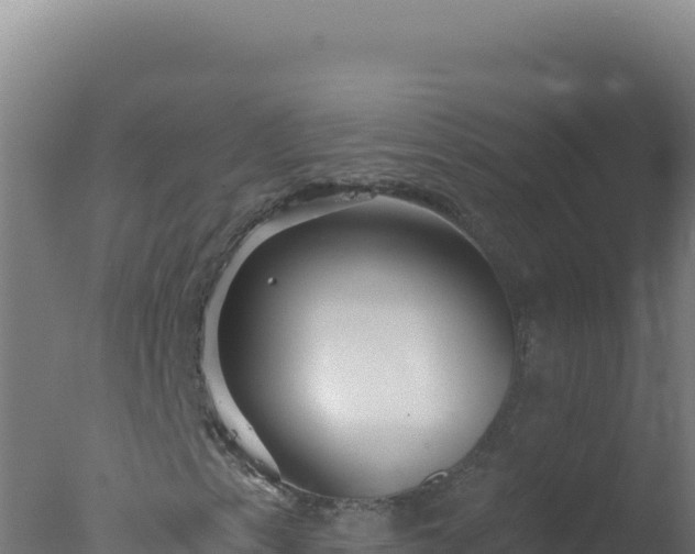 X0000077371153200610271913