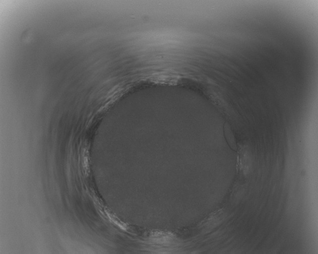 X0000077371154200610271913