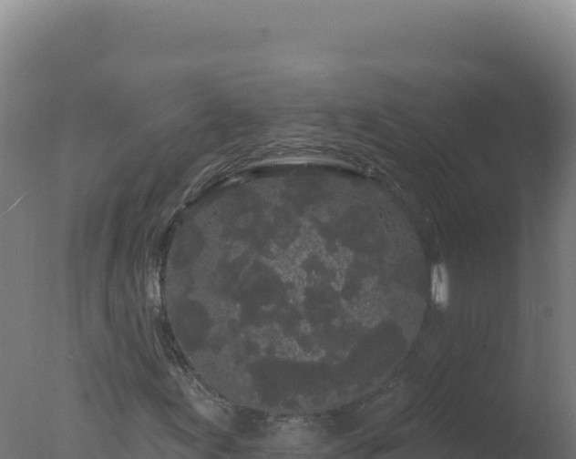 X0000077371155200610271912