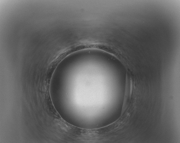 X0000077371157200610271912