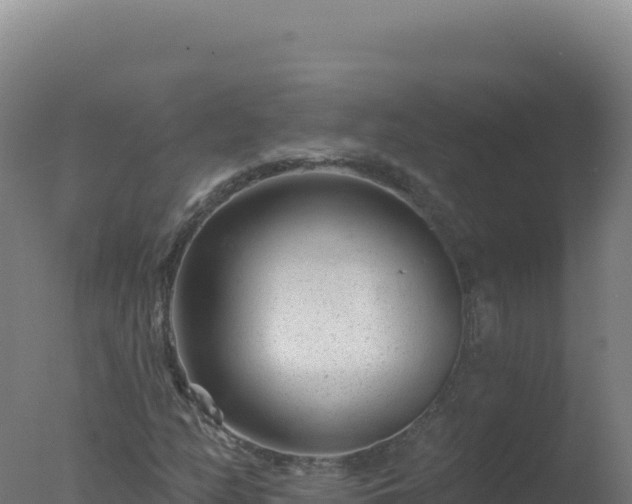 X0000077371158200610271912