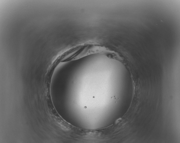 X0000077371160200610271912