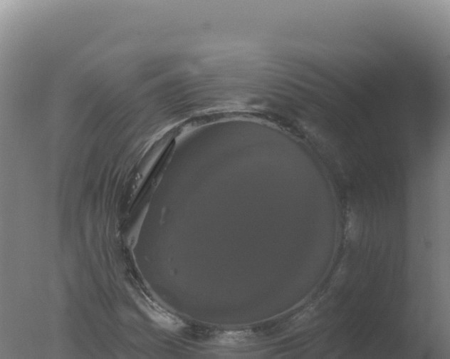 X0000077371161200610271912