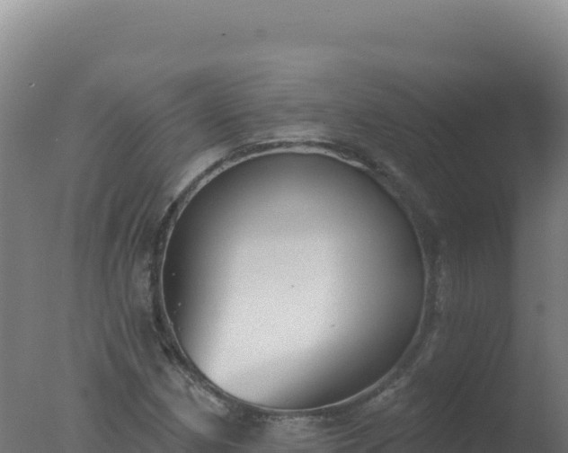 X0000077371162200610271912